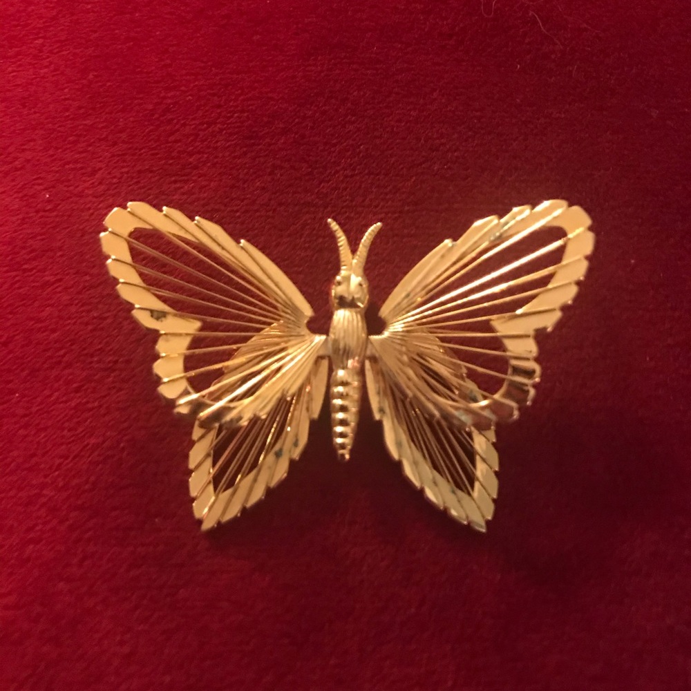 Butterfly pin 🦋
